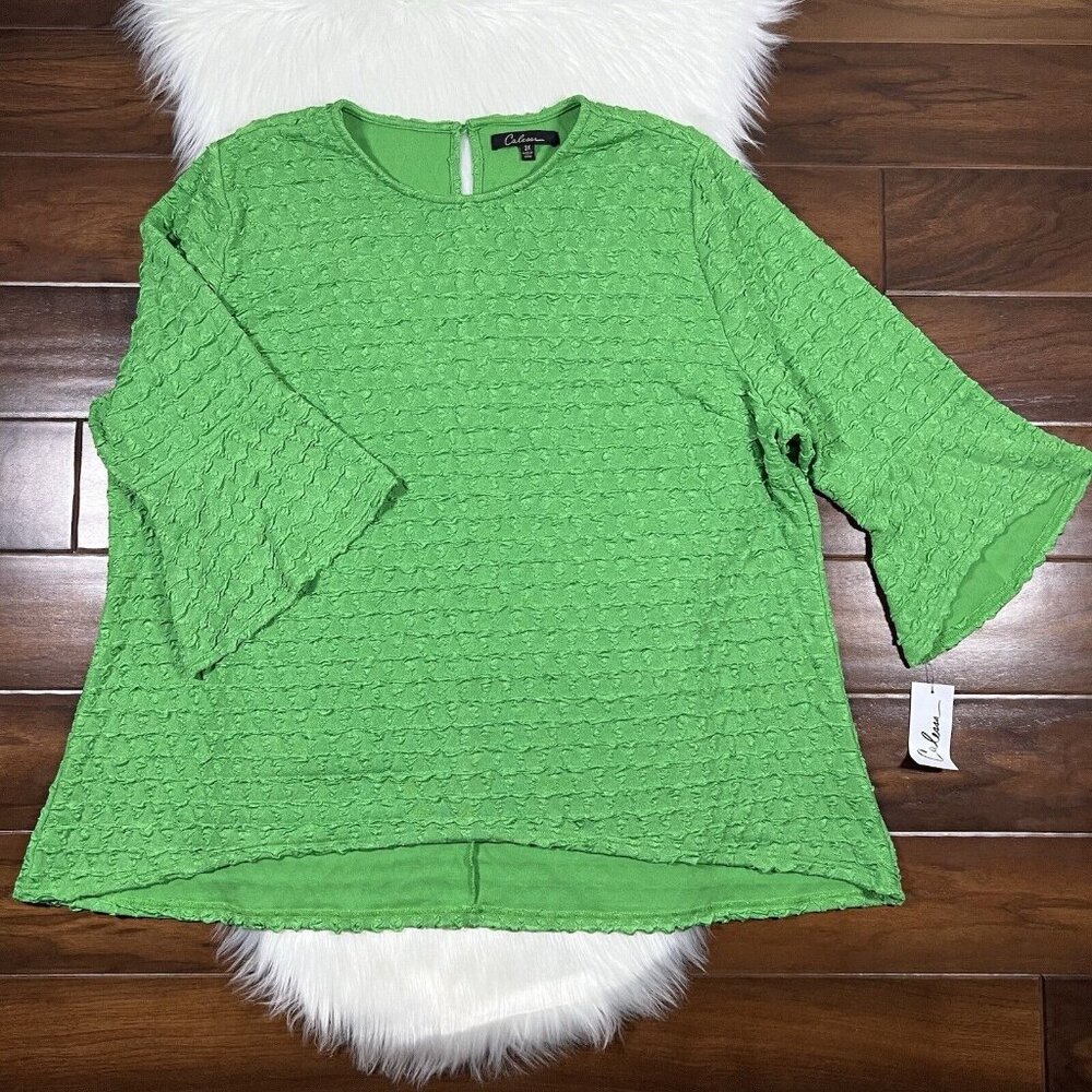 Calessa Women's Plus Size 3X Kelly Green Textured‎ Tunic Top